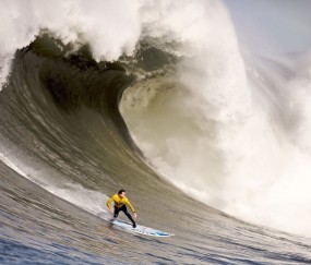 新手入门指南：星空体育官方